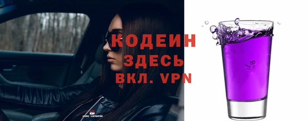 молекула духа Бородино