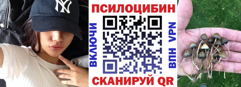 Галлюциногенные грибы GOLDEN TEACHER закладка Кулебаки